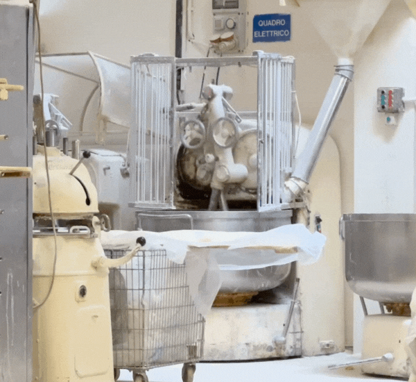 Large twin arm mixer mixing in a bakery at Altamura.