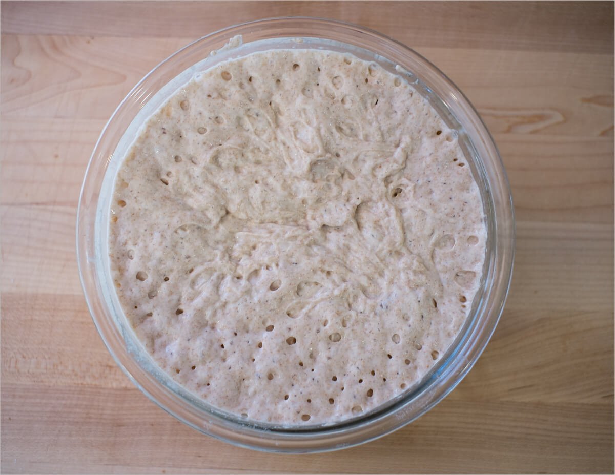 Sourdough starter ready to use