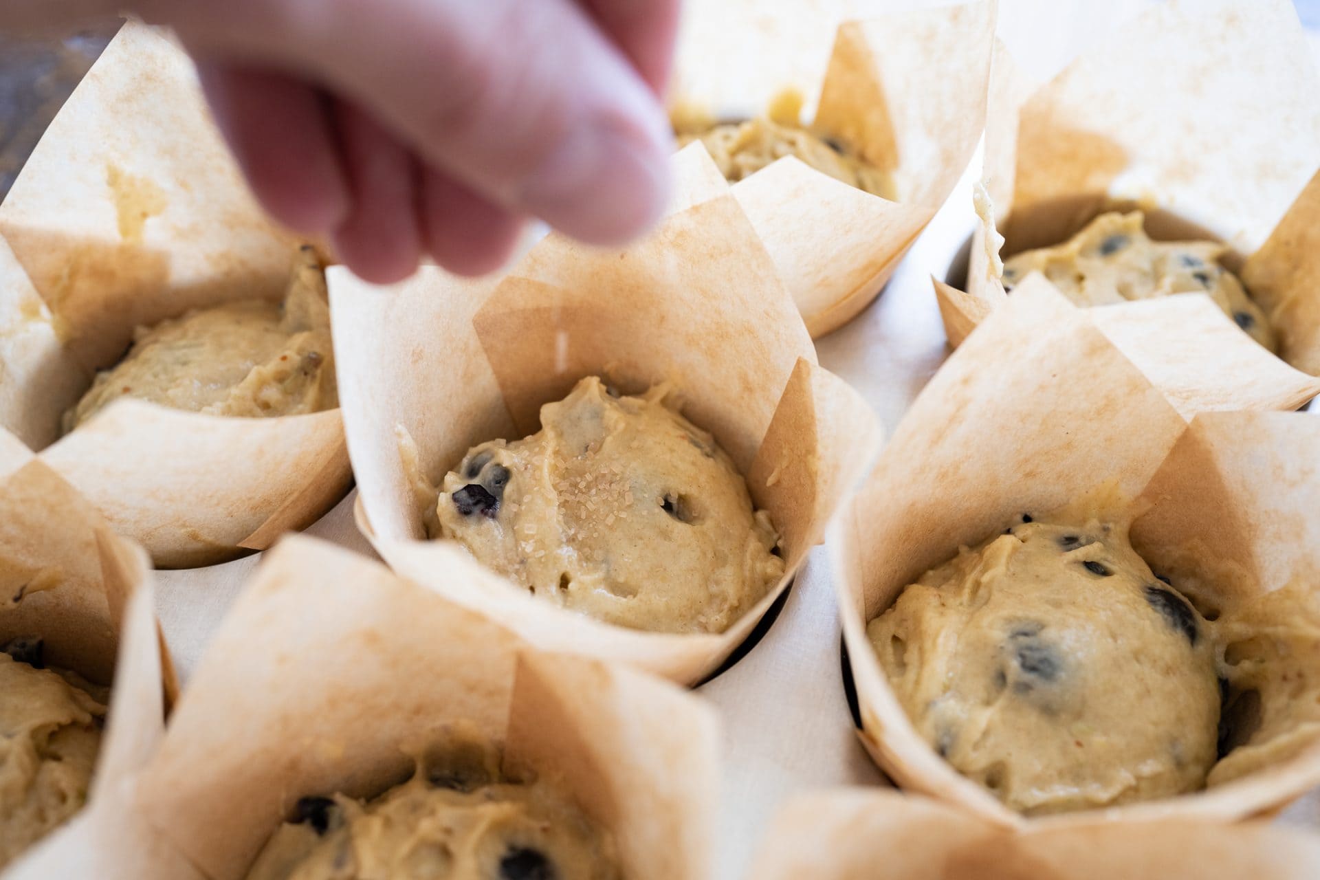 Sprinkling sugar on muffins