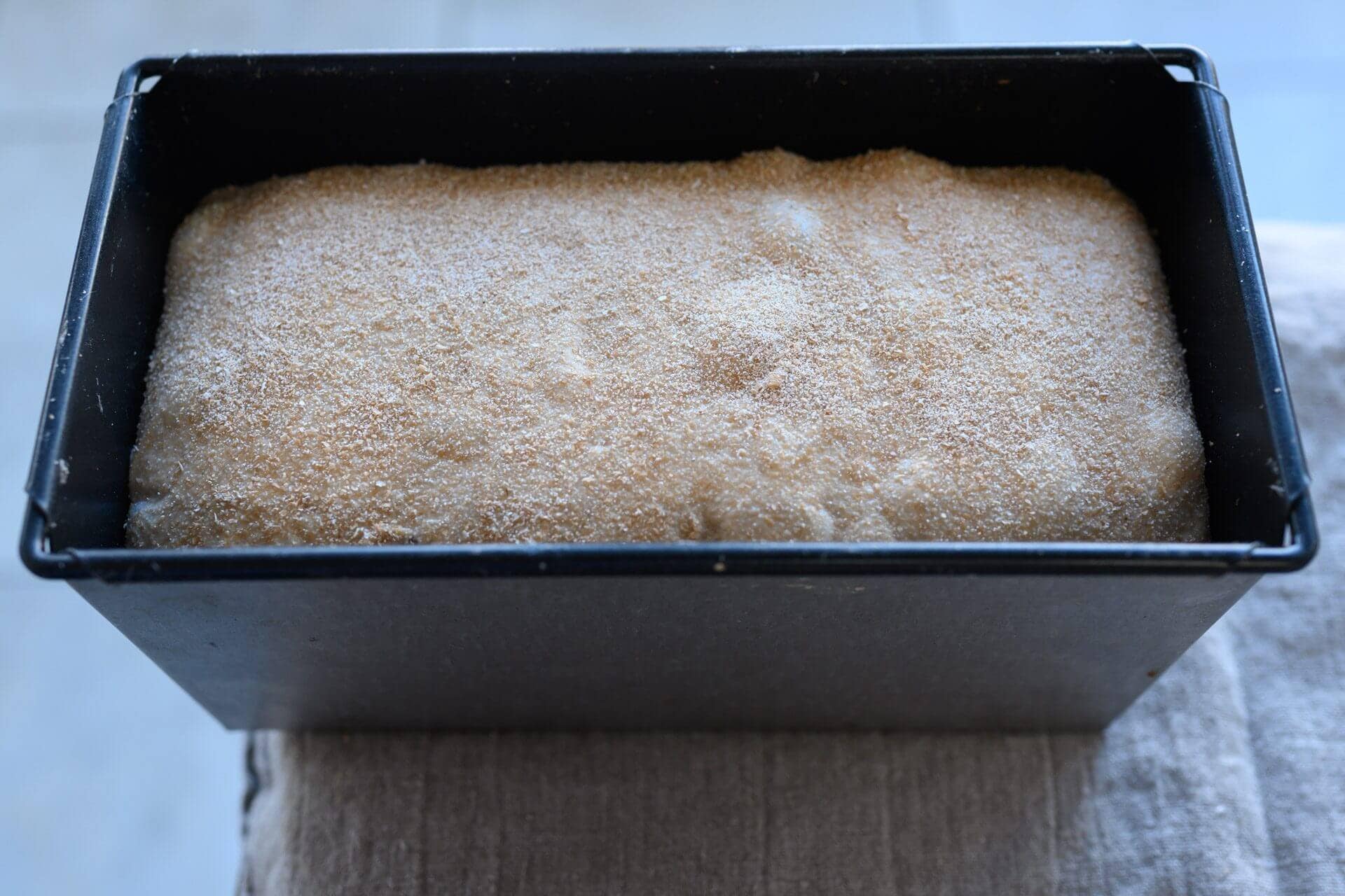 Fully proofed whole grain spelt pan loaf