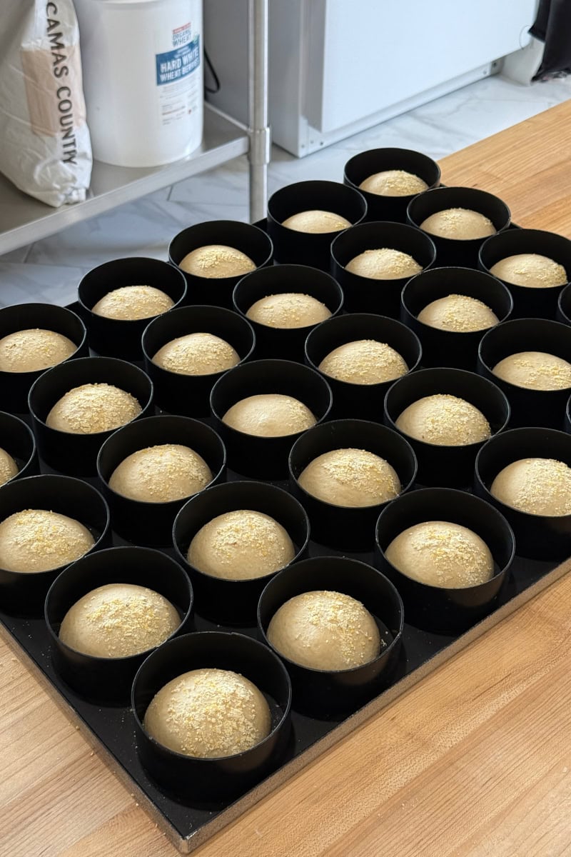 English muffin dough proofing in rings.