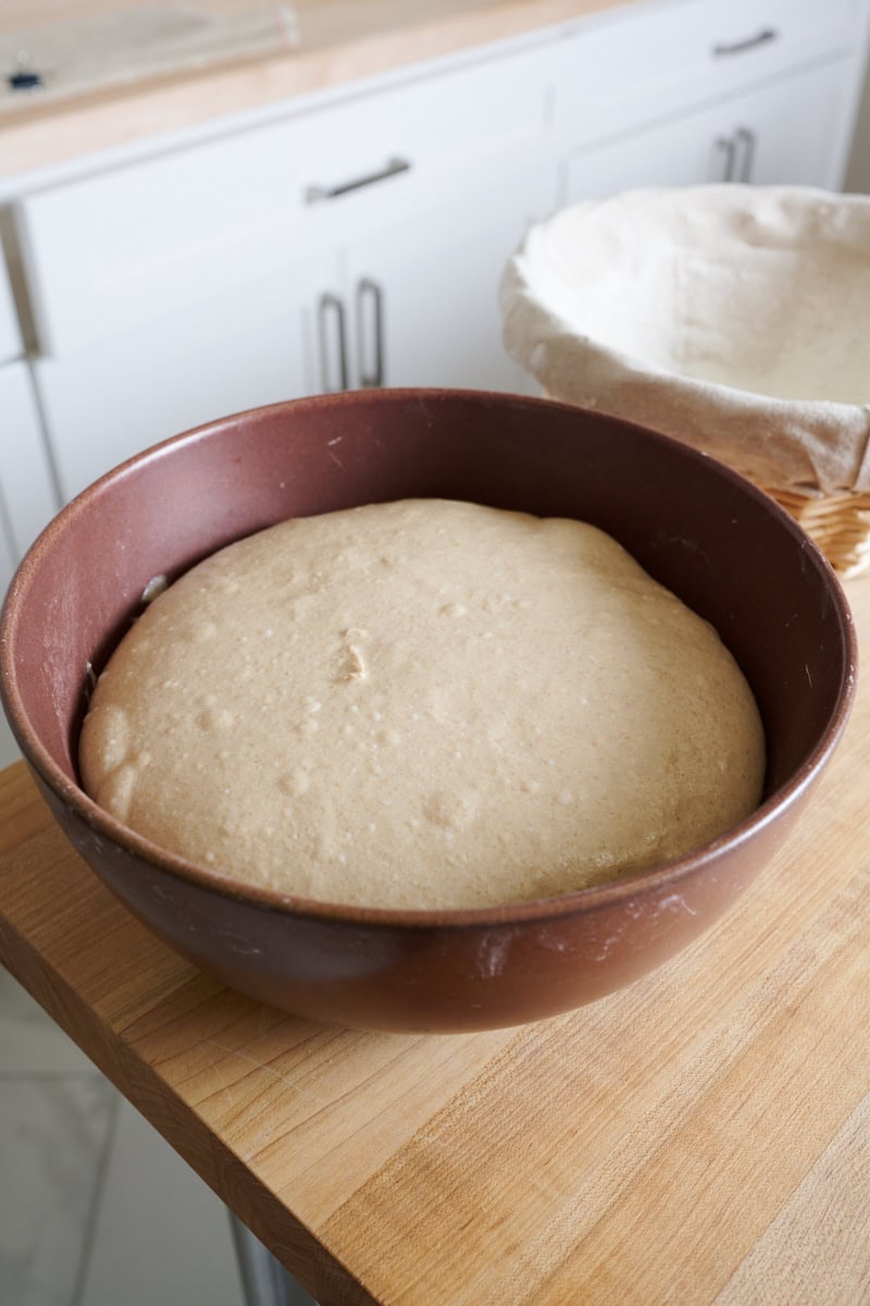 Hop miche dough at the end of bulk fermentation.