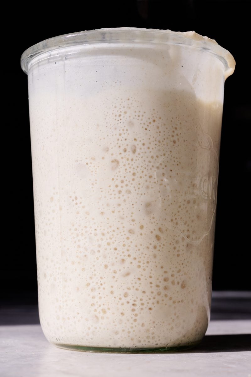 keeping your sourdough starter strong in the winter