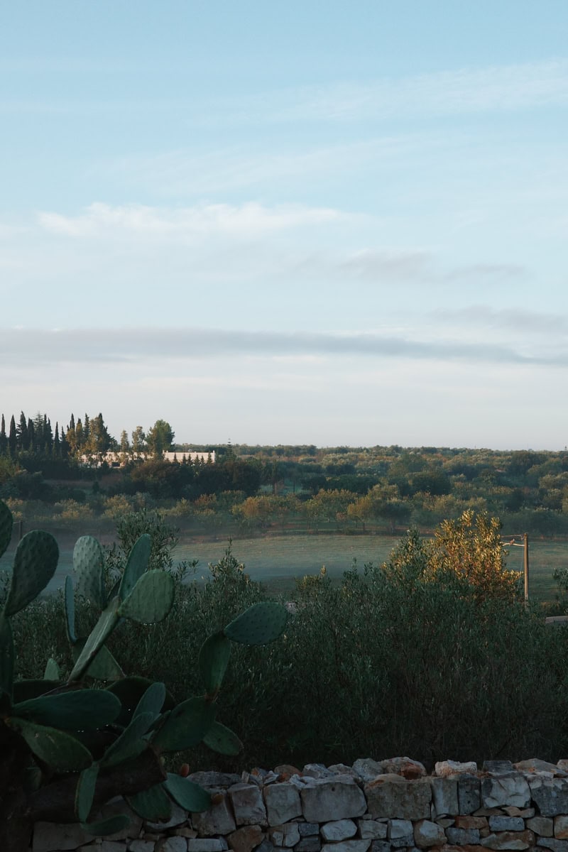 Landscape around Puglia