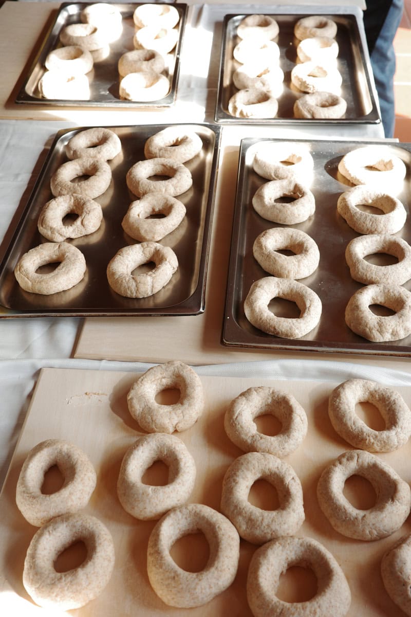 Sourdough friselle on boards ready for proofing.