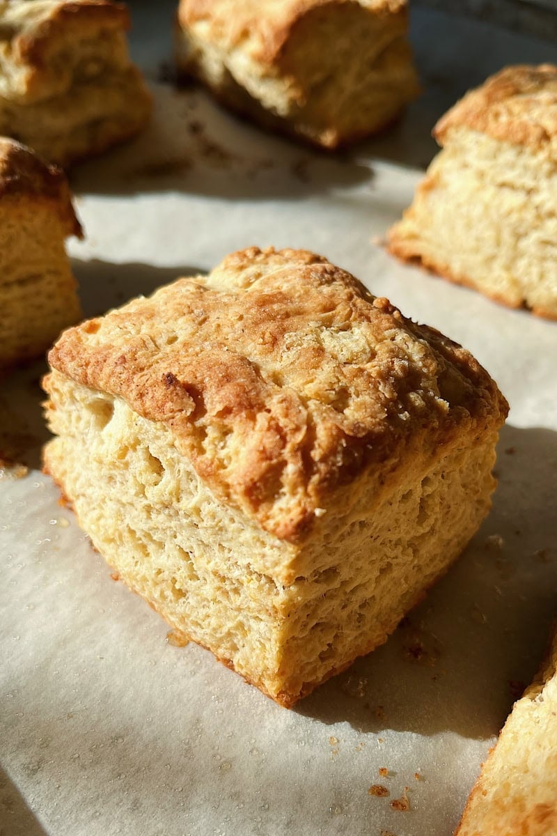 Layers of sourdough discard buttery biscuit goodness.