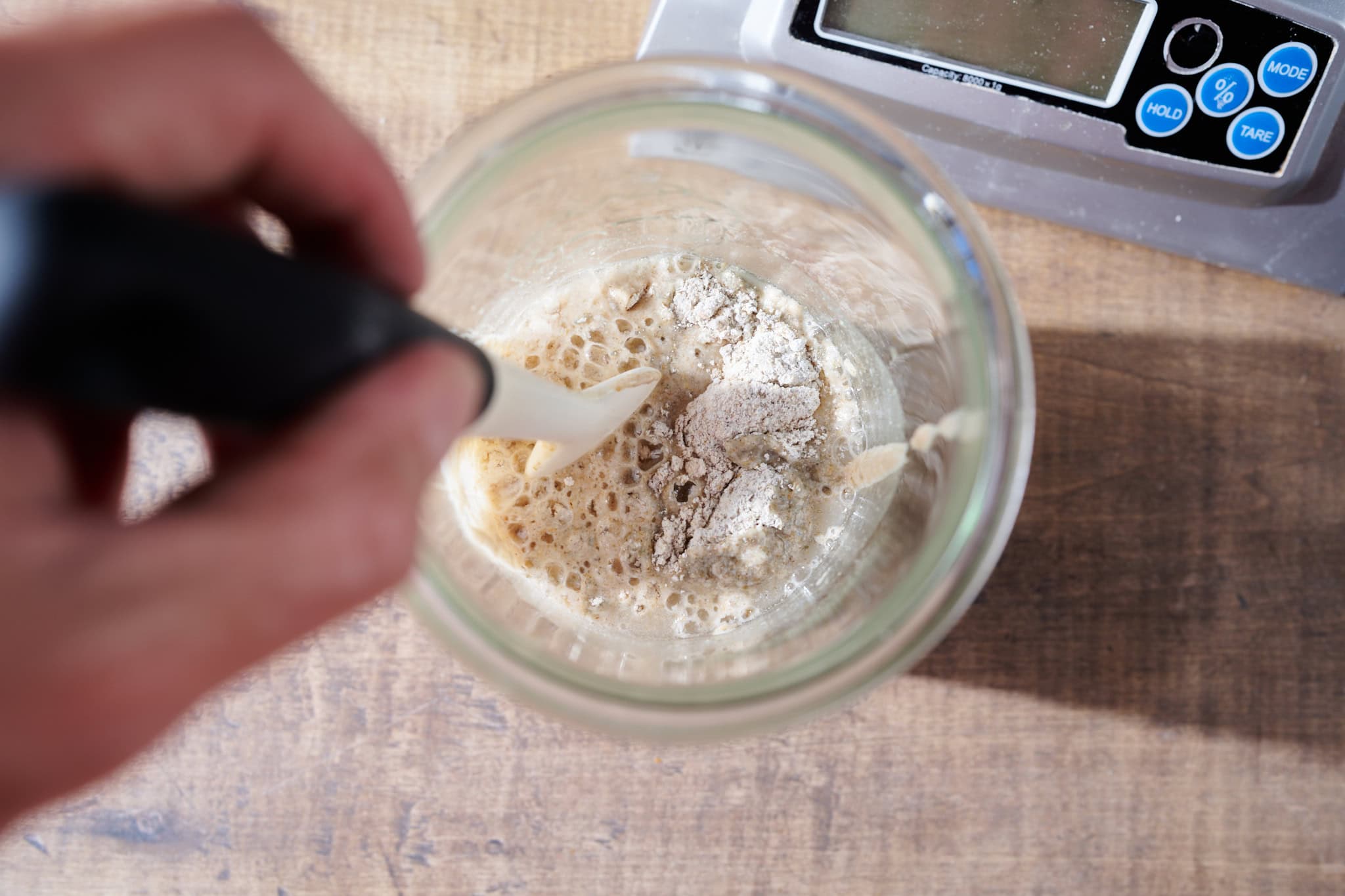 Mixing fresh flour and water with a starter that was in the fridge for vacation