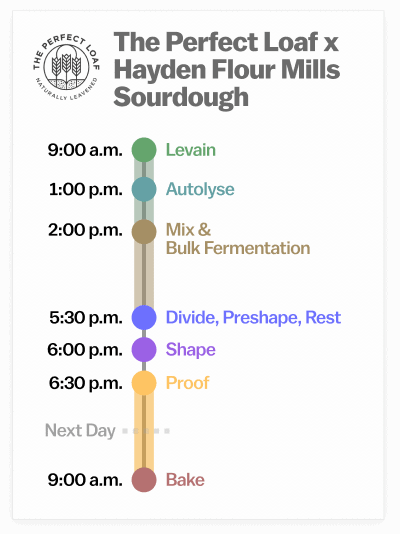 The Perfect Loaf Custom Bread Flour Sourdough Bread Baking Schedule