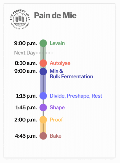 Updated sourdough pain de mie baking schedule