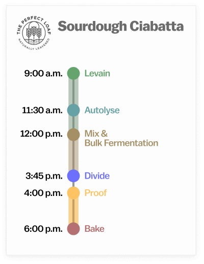 Sourdough ciabatta bread recipe baking schedule.